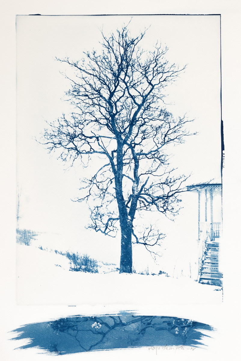 14-pirjo_lempea-vaahteran_kesauni