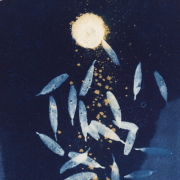pirjolempea-rajkastaataiei-0098