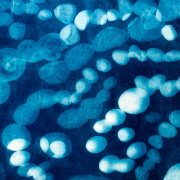 pirjo_lempea-valoisiamuistoja-1
